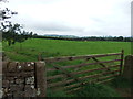 Fields near Yanwath