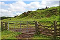 Hill fort rampart, Lanton Hill