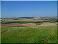 Valley view from the South Downs