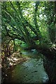 Stream Near Larkins Farm