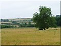 Farmland south of Carr Lane