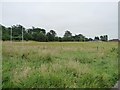 Overgrown school rugby pitch