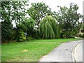 Scholes Elmet Nursery entrance, Morwick Grove