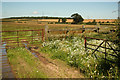 SK7662 : Northfield farmland by Richard Croft