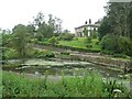 Pond in Wooperton