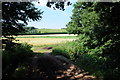 Bridleway near Mount Segg