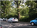 Cars parked next to Southampton Common