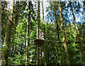 SD3394 : Up in the trees at Grizedale by Karl and Ali