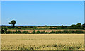 ST8482 : 2012 : View north over what remains of Wiltshire by Maurice Pullin