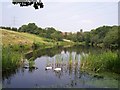 SD7606 : Peaceful scene at Dingle Reservoir by Raymond Knapman