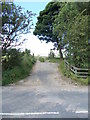 Footpath - Thorpe Lane