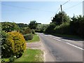 The road through Cann Common