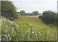 Looking towards Tadwell Farm