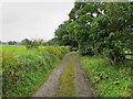 Track leading to Blue Scar Wood