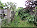 Footpath to Bryn y Bia Road