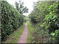 Bridleway to Bryn Y Bia Road