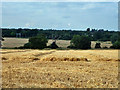 View towards Ingatestone