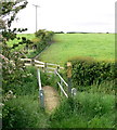 Footbridge along the Leicestershire Round Footpath