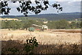 Harvesting near Franchise Farm