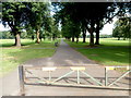 Tree-lined path through Llandaff Fields, Cardiff