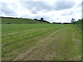 A field to the west of Outwoods Bank