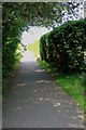 Footpath to Little Herberts Road from The Beeches Recreation Ground