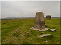 SD8416 : Trig Pillar on Knowl Hill by David Dixon