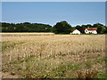 Fields at Kington