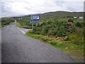 NG1952 : Scrubby patches near the turnoff to Gleann Dail  by C Michael Hogan