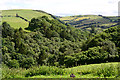 Wooded valley below Banhadlog Hall