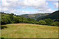 Field in Llidiartywaun