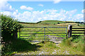 Gate and field near Garth Fawr farm