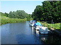 View from Barming Bridge