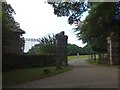 The Lion Gate of Newark Park