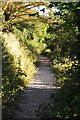 South Hams : Public Footpath