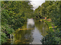 The Bridgewater Canal, Grappenhall