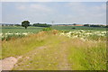 Farm track leading in the general direction of White Ladies Priory