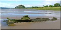 NS4074 : The shore at Dumbarton East by Lairich Rig