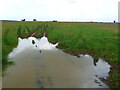 SP0709 : Waterlogged Field by Nigel Mykura