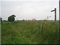 Footpath to Barrier Bank