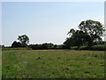 Fields north of Oldbury Naite