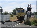 Level crossing, Potland