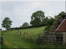 G7327 : Farmland, Kilross by Richard Webb