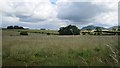 Hay meadow near Bankhead