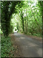 Warren Road through Frith Wood