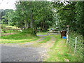 Track leading to the croft on the south shores of Loch Tay