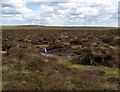 NS6082 : Campsie peat hags and bogs by Alec MacKinnon