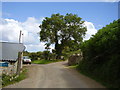 Approaching Berry Barton farm