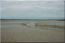 TQ9665 : Confluence of Conyer Creek and the Swale by David Kemp