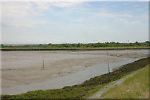 TQ9665 : Conyer Creek near its confluence with the Swale by David Kemp